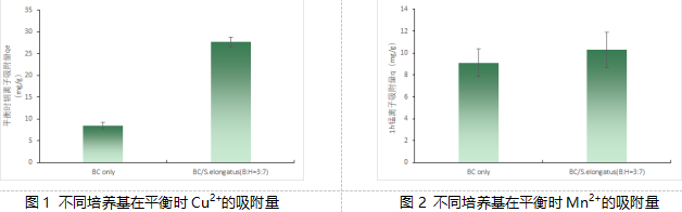 【科技】共生新模式：细菌纤维素与蓝藻联手“洗净”水污染——武汉理工大学生命科学学院最新研究成果解读(图1)